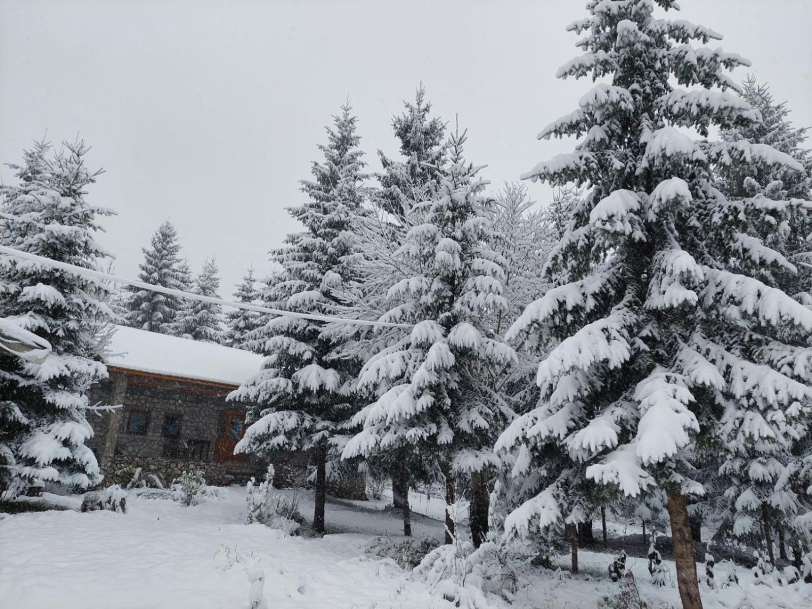 Guest House Hyrmet Demushi Валбона Екстериор снимка