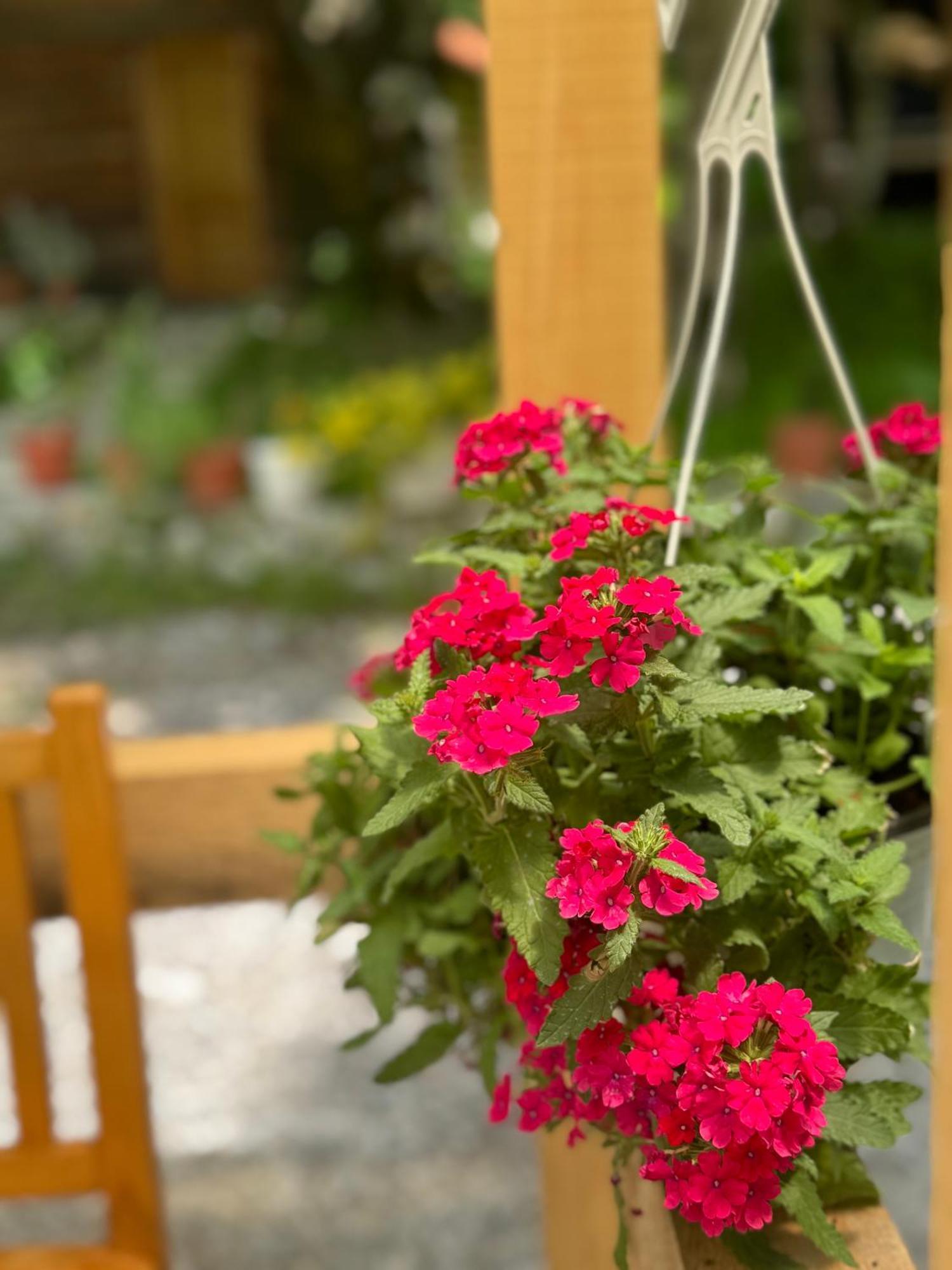 Guest House Hyrmet Demushi Валбона Екстериор снимка