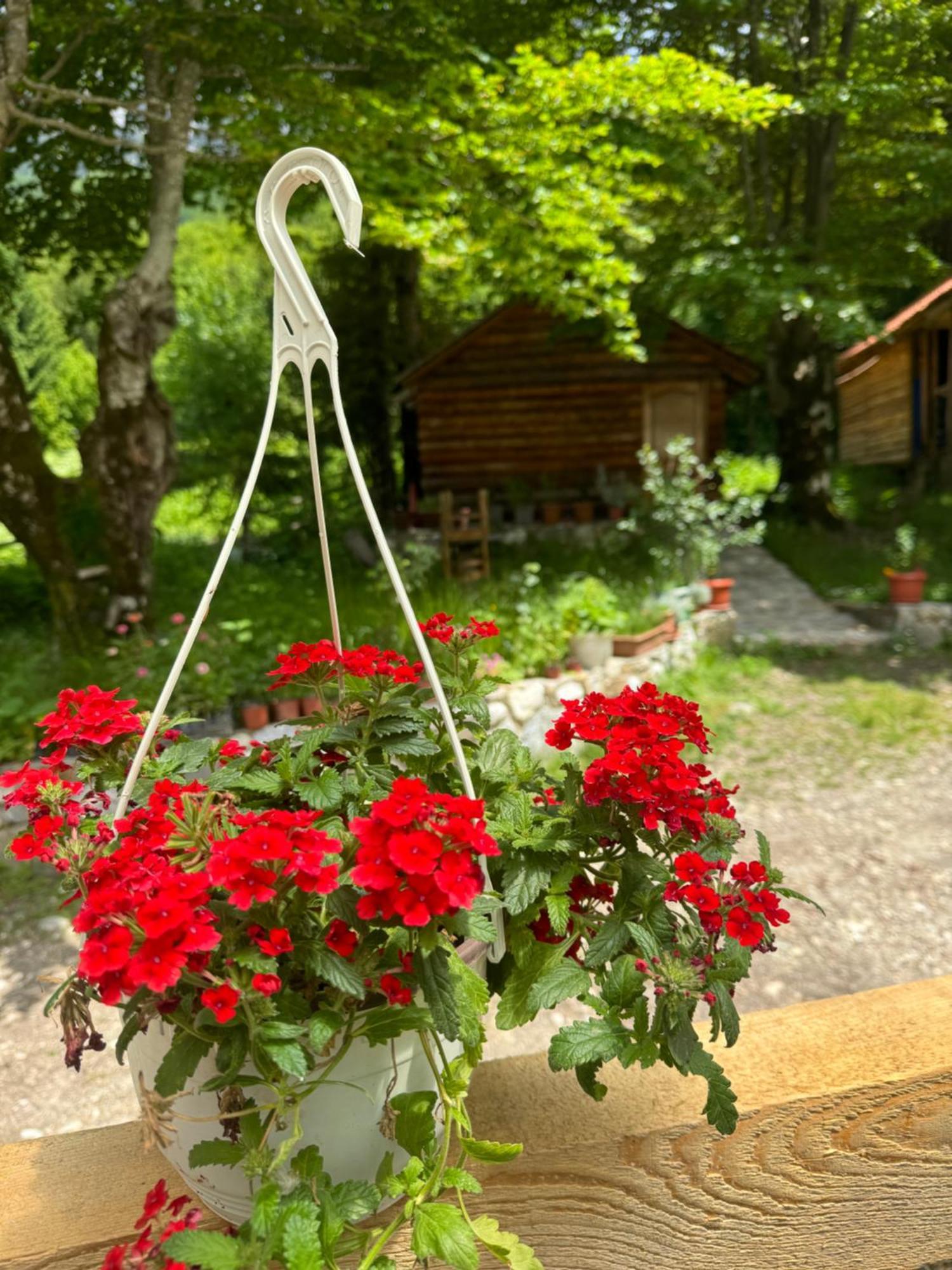 Guest House Hyrmet Demushi Валбона Екстериор снимка