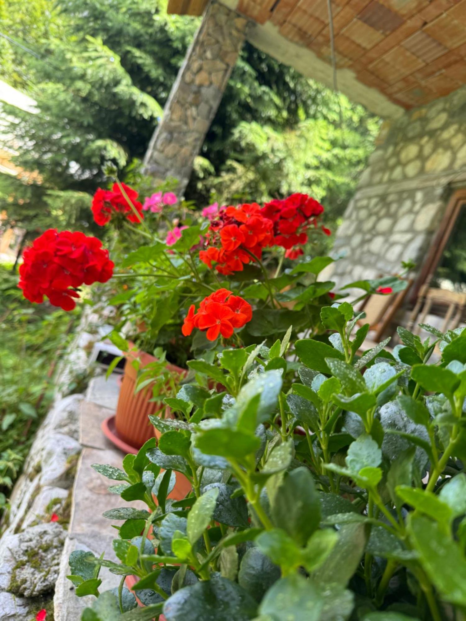 Guest House Hyrmet Demushi Валбона Екстериор снимка