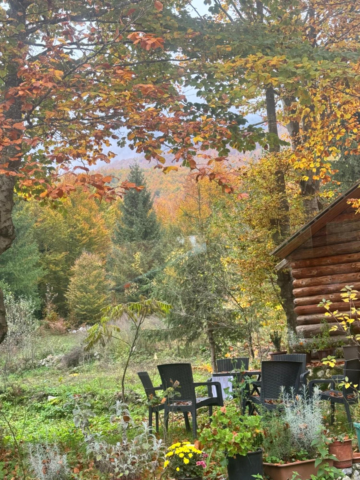 Guest House Hyrmet Demushi Валбона Екстериор снимка