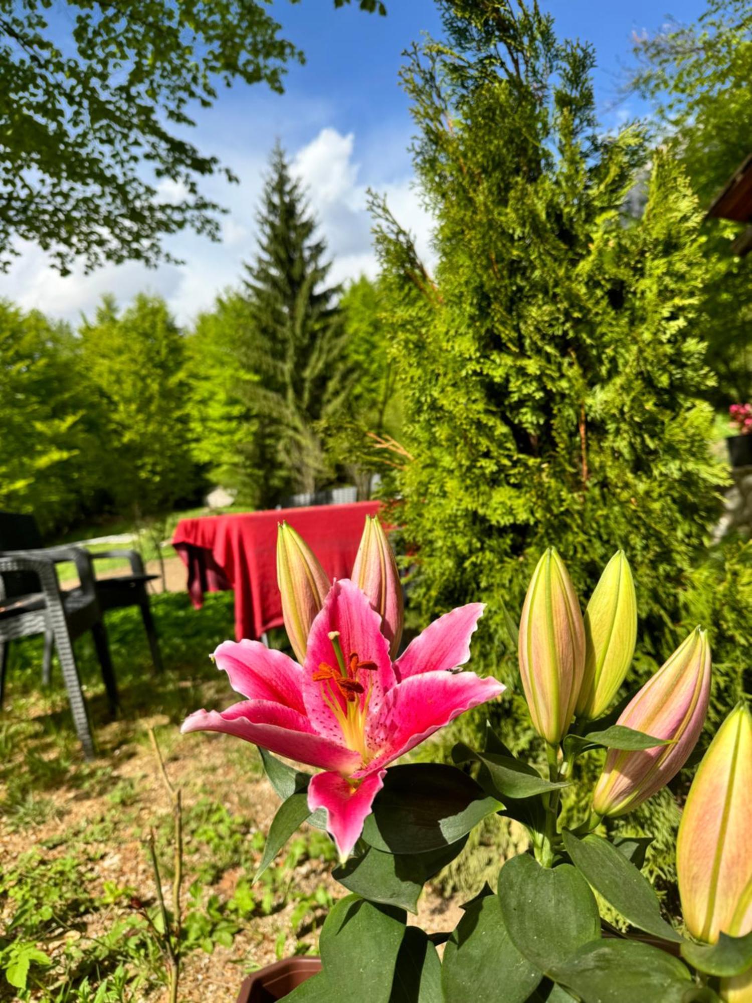 Guest House Hyrmet Demushi Валбона Екстериор снимка
